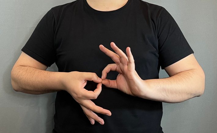 Interprete lenguaje de señas